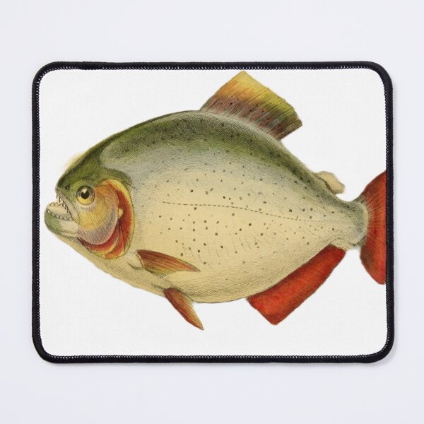 Item preview, Piranha designed and sold by BeagleDesigns.