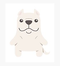 Dogo Argentino Photographic Print