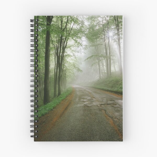 Item preview, Sun through the mist in the forest designed and sold by Michele Brusini.