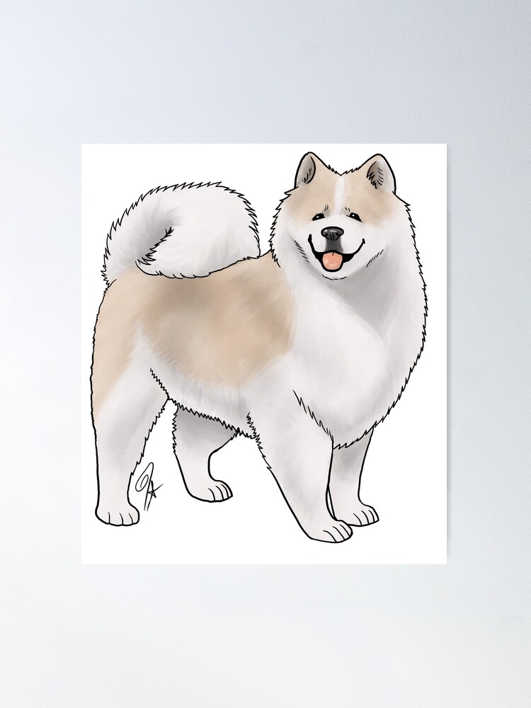 Biscuit samoyed hot sale