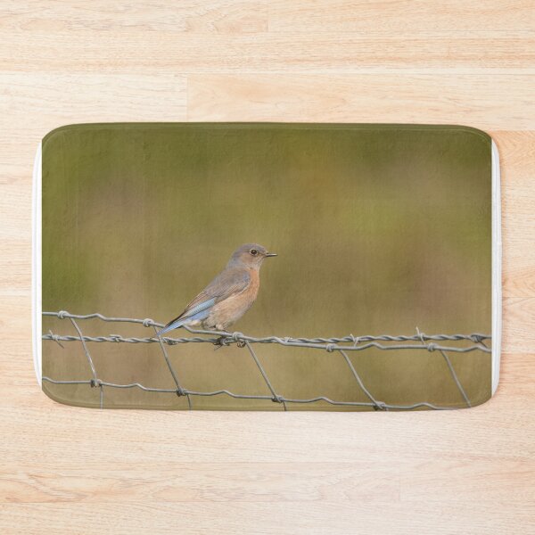 Item preview, Female Western Bluebird on a Fence designed and sold by Birdmanphotos.
