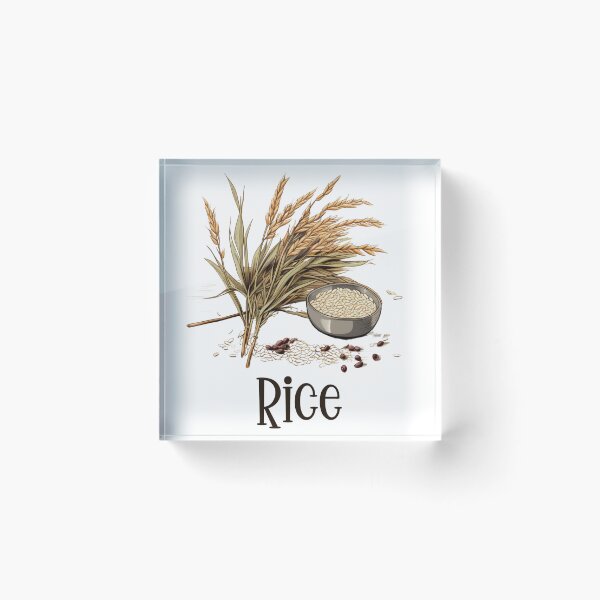 Item preview, Hand Drawn Illustration of Rice designed and sold by Sketch-Shack.