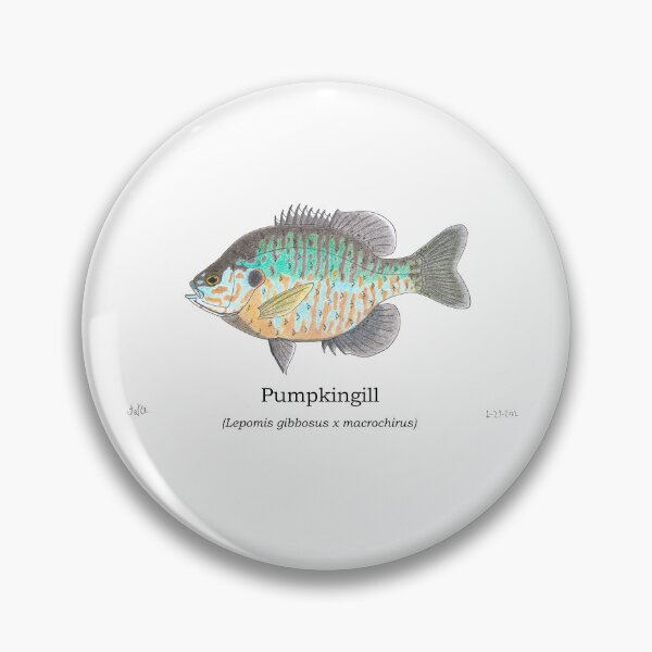Item preview, Pumpkingill 1 (name version) designed and sold by JayceTheCC.