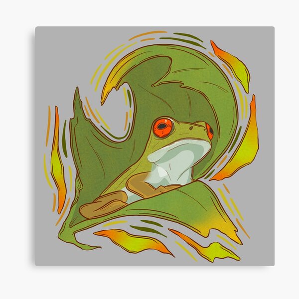Disover Tree Frog | Canvas Print