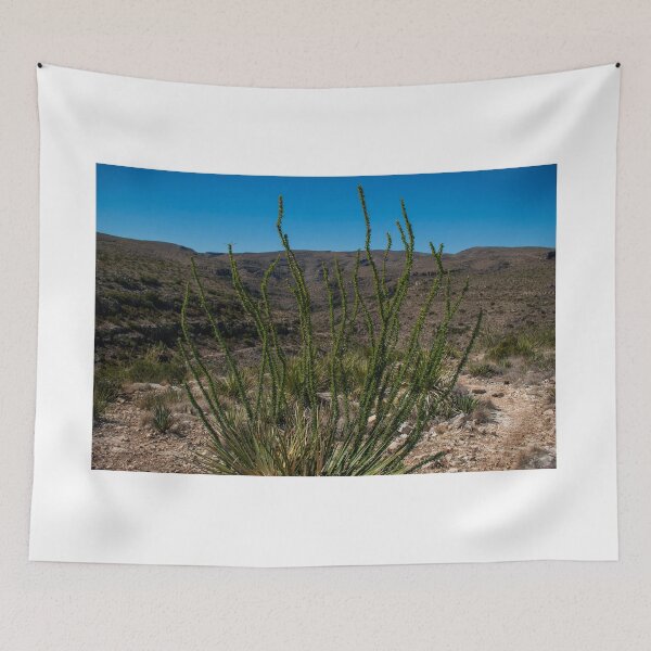 Item preview, Chihuahuan Desert of southern New Mexico designed and sold by uzasynystersyn.