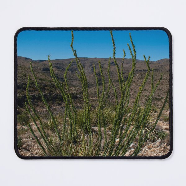 Item preview, Chihuahuan Desert of southern New Mexico designed and sold by uzasynystersyn.