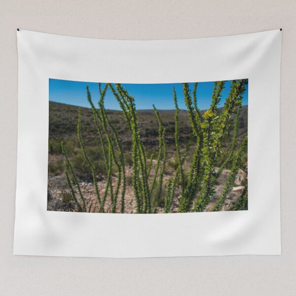Item preview, Chihuahuan Desert of southern New Mexico 2 designed and sold by uzasynystersyn.