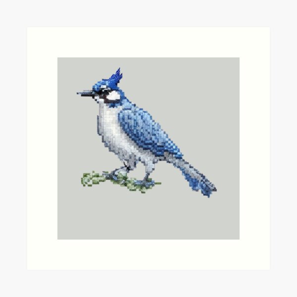 Blue Jay Drawings for Sale - Pixels