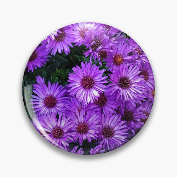 Item preview, Garden Flowers 02 - Aster designed and sold by Gilby-Designs.