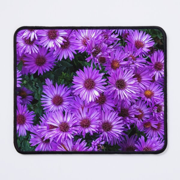 Item preview, Garden Flowers 02 - Aster designed and sold by Gilby-Designs.
