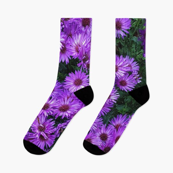 Item preview, Garden Flowers 02 - Aster designed and sold by Gilby-Designs.
