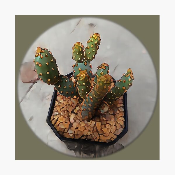 Item preview, Micro Opuntia's loveliness. designed and sold by Poojar2023.