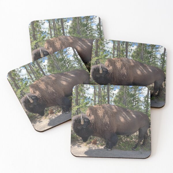 Item preview, A Buffalos Bison designed and sold by Natures-Photos.
