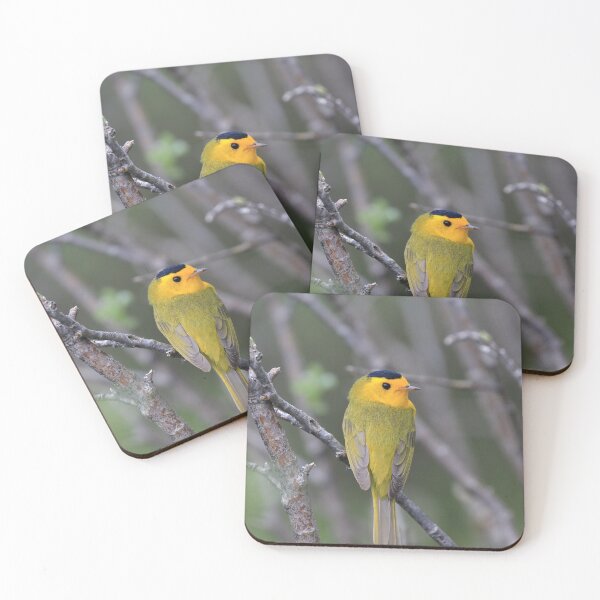 Item preview, Cardellina pusilla designed and sold by zumi.