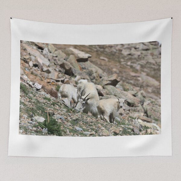 Item preview, Goat kids II designed and sold by zumi.