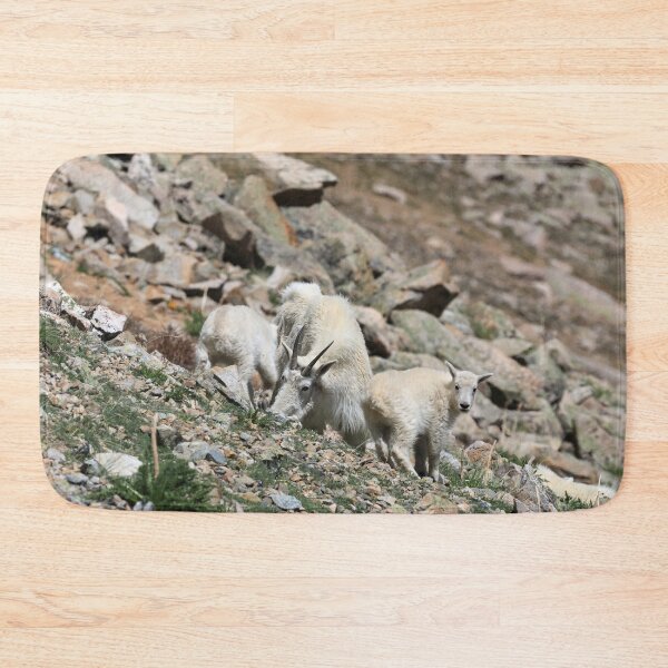 Item preview, Goat kids II designed and sold by zumi.