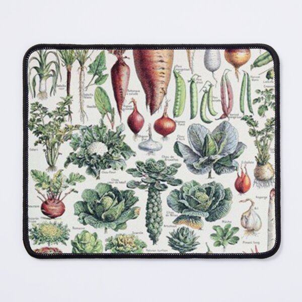 Item preview, Adolphe Millot - Légumes pour tous - French vintage designed and sold by cranedelores.