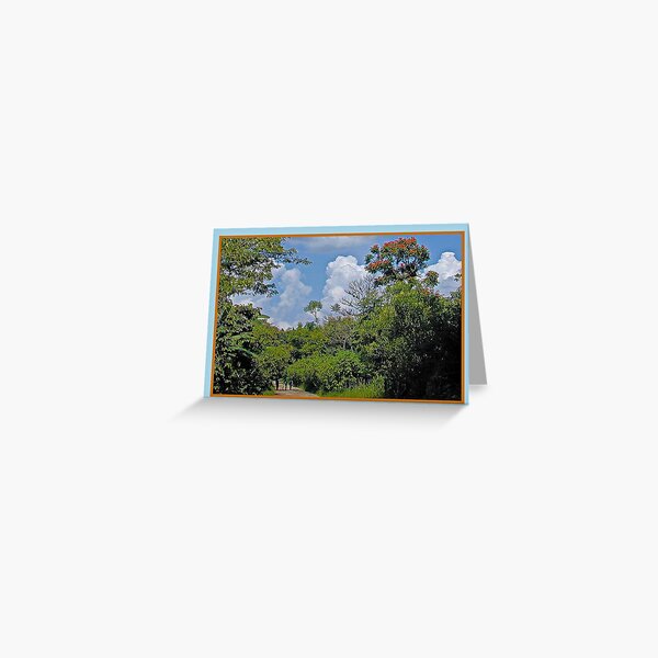 Taking a Walk in Paradise Greeting Card