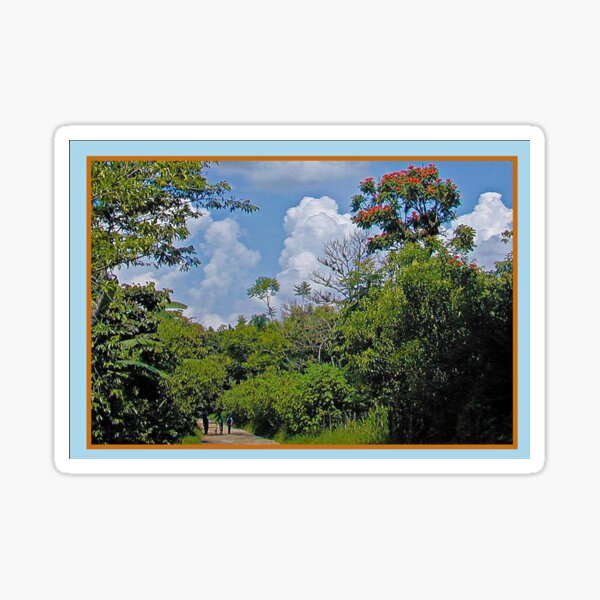 Taking a Walk in Paradise Sticker