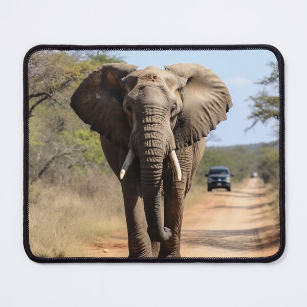 Item preview, Visiting the Kruger National Park designed and sold by Myra365Art.