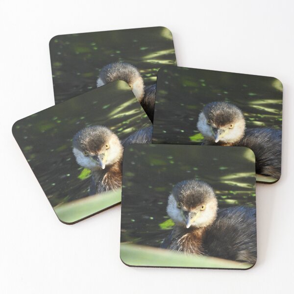 Item preview, Grebe intence stare  designed and sold by Mark Grimsley.