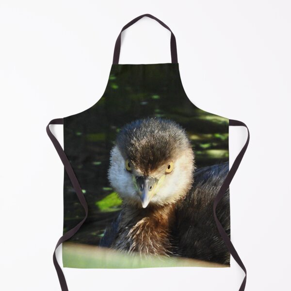Item preview, Grebe intence stare designed and sold by Mark Grimsley.