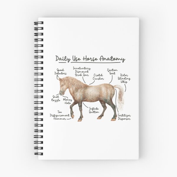 Item preview, Daily Use Horse Anatomy designed and sold by chillaxcats.
