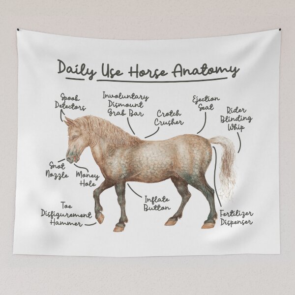 Item preview, Daily Use Horse Anatomy designed and sold by chillaxcats.