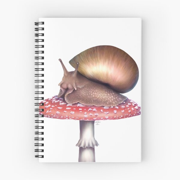 Aperçu de l'œuvre Escargot sur un champignon créée et vendue par SketchesOfChaos.