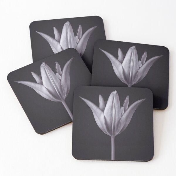 Item preview, Blossom in Isolation designed and sold by assaf.