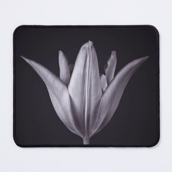 Item preview, Blossom in Isolation designed and sold by assaf.