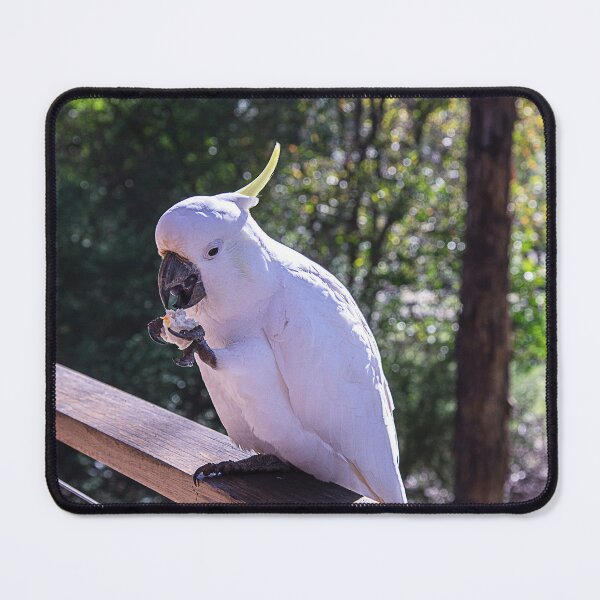 Item preview, Sulphur Crested Cockatoo designed and sold by Bevlyn.