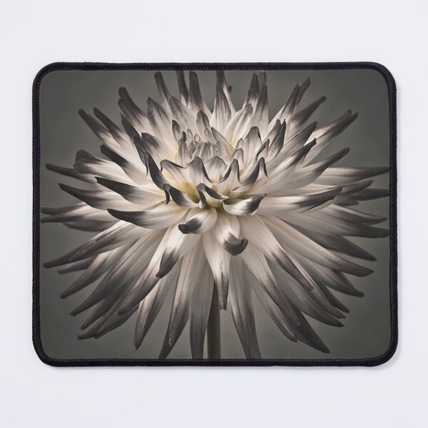 Item preview, Dahlia designed and sold by assaf.