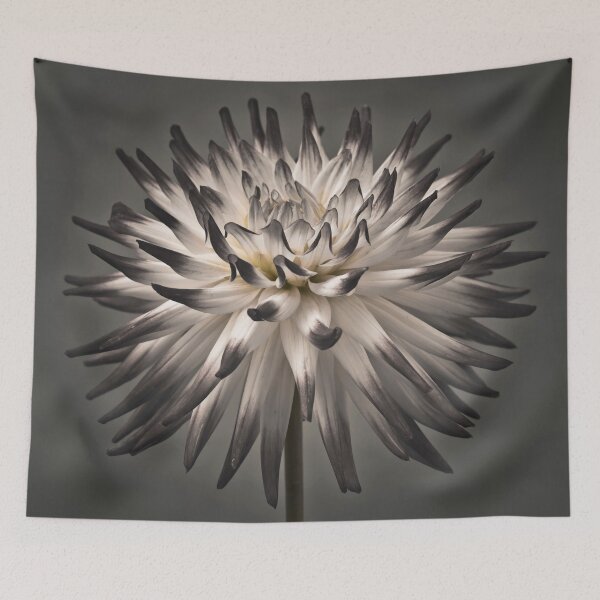 Item preview, Dahlia designed and sold by assaf.