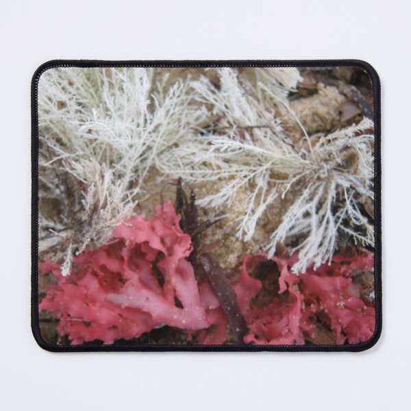 Item preview, Sea Wrack - Prestons Beach, Western Australia, 2010 designed and sold by Elizabeth Sheppard.