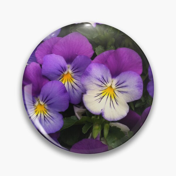 Item preview, Violata designed and sold by Elizabeth Sheppard.