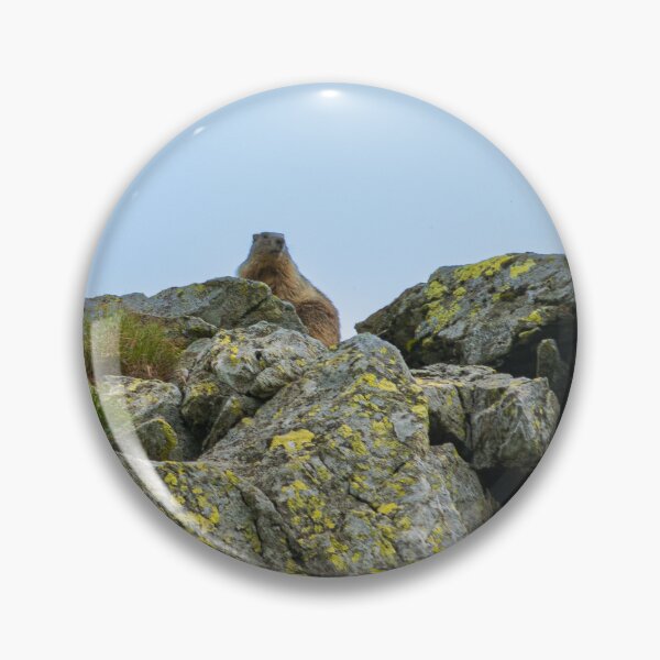 Item preview, Cute marmot designed and sold by OriginalShots.