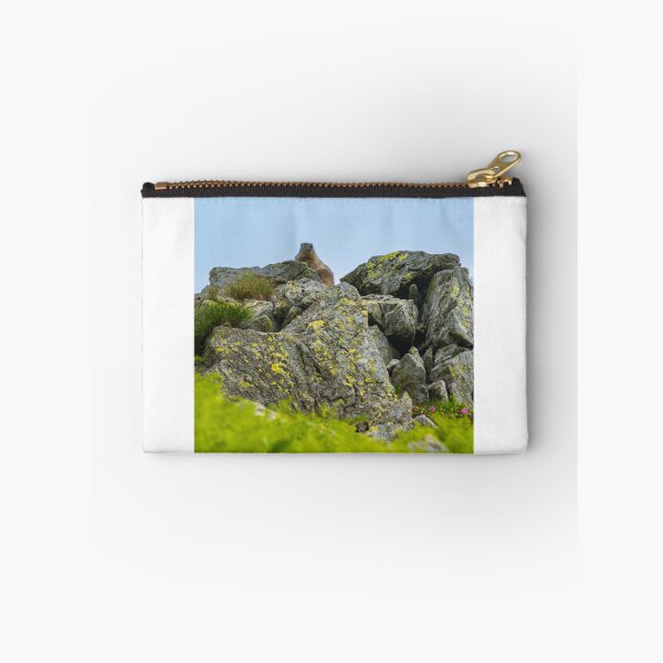 Aperçu de l'œuvre Marmotte mignonne créée et vendue par OriginalShots.