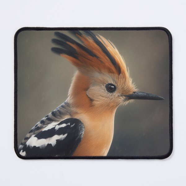 Item preview, bird with chalk designed and sold by EdicionesJML.