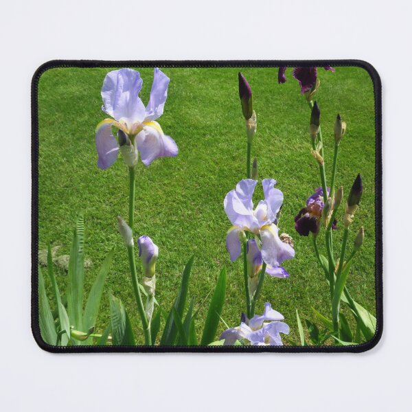 Item preview, Lilac Iris designed and sold by wiggyofipswich.