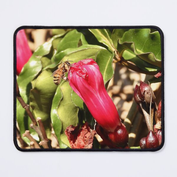 Item preview, Bee and Flower combo designed and sold by Mark Grimsley.