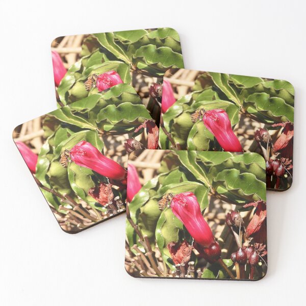 Item preview, Bee and Flower combo designed and sold by Mark Grimsley.
