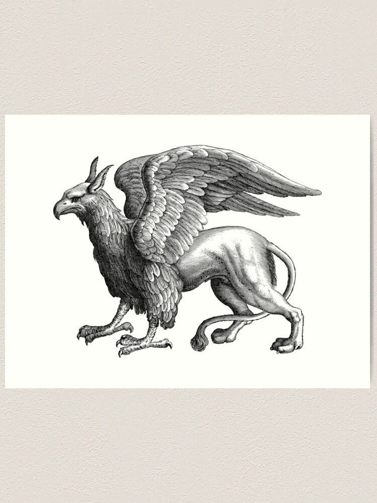 gryphon drawing