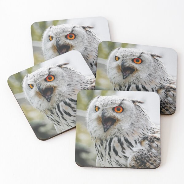 Item preview, Eagle Owl designed and sold by photobytableau.