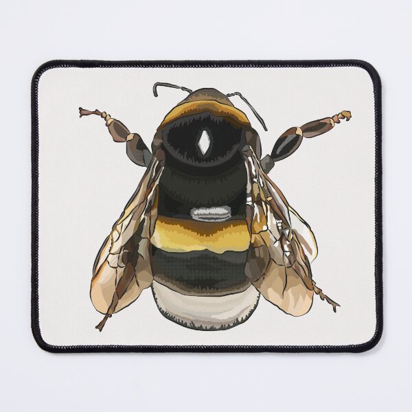 Item preview, Buff-tailed Bumblebee by BeeFoxTree - Bee on White designed and sold by BeeFoxTree.