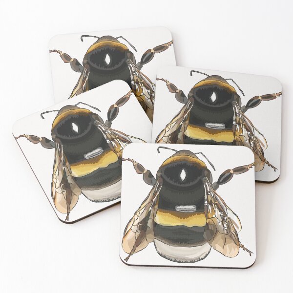 Item preview, Buff-tailed Bumblebee by BeeFoxTree - Bee on White designed and sold by BeeFoxTree.