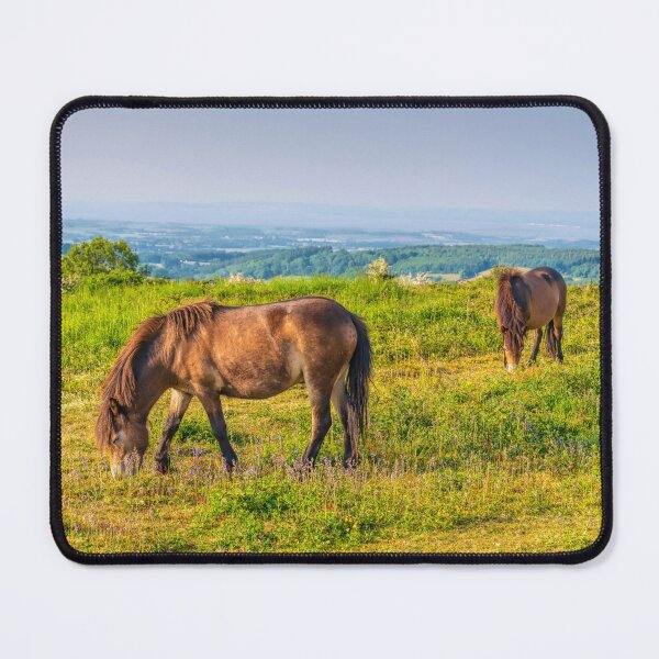 Item preview, Wild Exmoor Ponies The Quantocks Somerset England UK designed and sold by acceleratorhams.