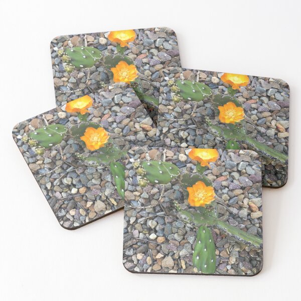 Item preview, Softly Blooming Cactus designed and sold by myceliummatrix.