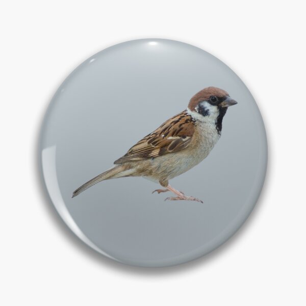 Item preview, Lovely Sparrow designed and sold by RainbowSpinkle.