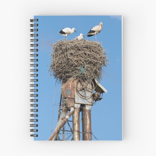 Item preview, The White Storks of Frómista designed and sold by Kezzles.